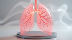 <strong>而担任断根这些毁伤的修</strong>